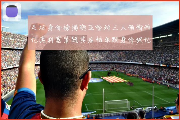 足坛身价榜揭晓亚哈姆三人领衔两亿奥利塞紧随其后帕尔默身价破亿